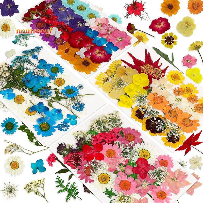 144 flores prensadas naturales secas para resina, flores secas a granel  hierbas naturales kit para vela, resina epoxy, manualidades de arte diy