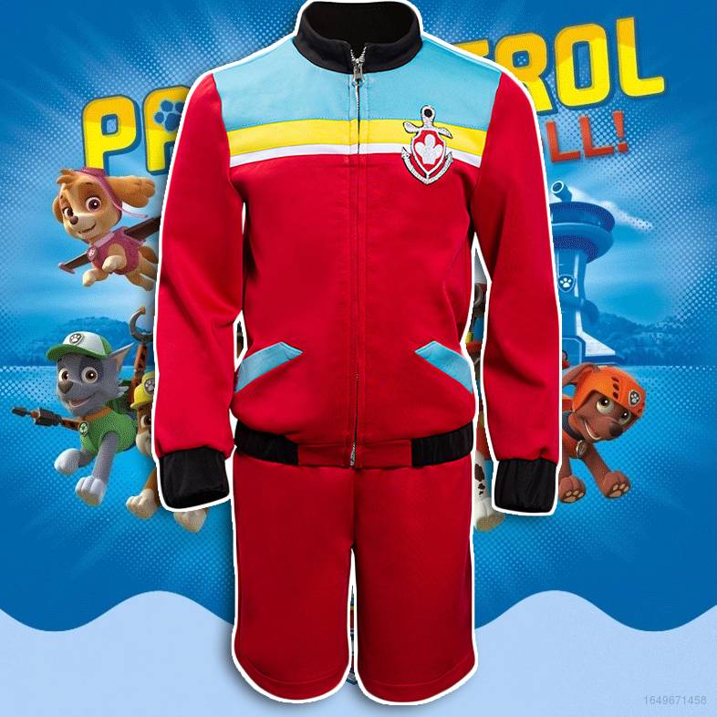 Slip Paw Patrol Per Bambini | Confezione Da 5 | Cotone 100% | Età 3-8 Anni | Modelli Stampati E Uniti - Foto 8