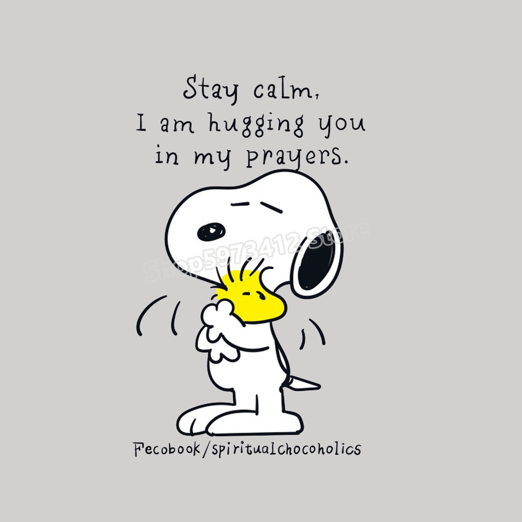 Snoopy Parche De Transferencia De Calor Para Ropa DIY Polera Patron Sticker Sudadera Con Capucha Chaquetas Decoracion Apliques Regalo Shopee Chile