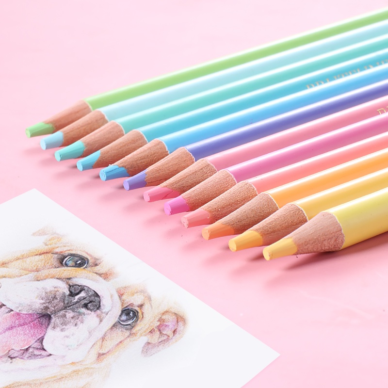 Colores surtidos, paquete de 2, estuche de plástico para lápices, estuche  para lápices, caja de crayones, estuche para niños, estuche para lápices  transparente, estuche para lápices de plástico