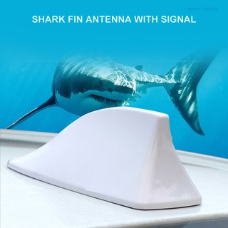 Antena tipo aleta de tiburón de coche Auto trasero para techo señal de FM  Radio Universal aérea para BMW/Honda/Toyota/Hyundai/Kia/etc/piezas  exteriores - AliExpress