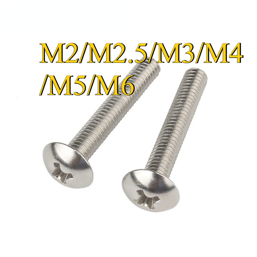 50 Viti Per Computer Portatile M2-M4 - Testa Piatta Extra Large Phillips - Kit Assortito