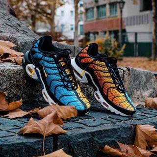 Nike air max tn hombre sale