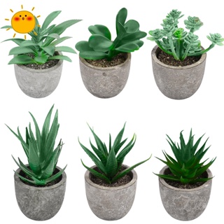 Plantas suculentas artificiales, mini plantas de imitación verdes