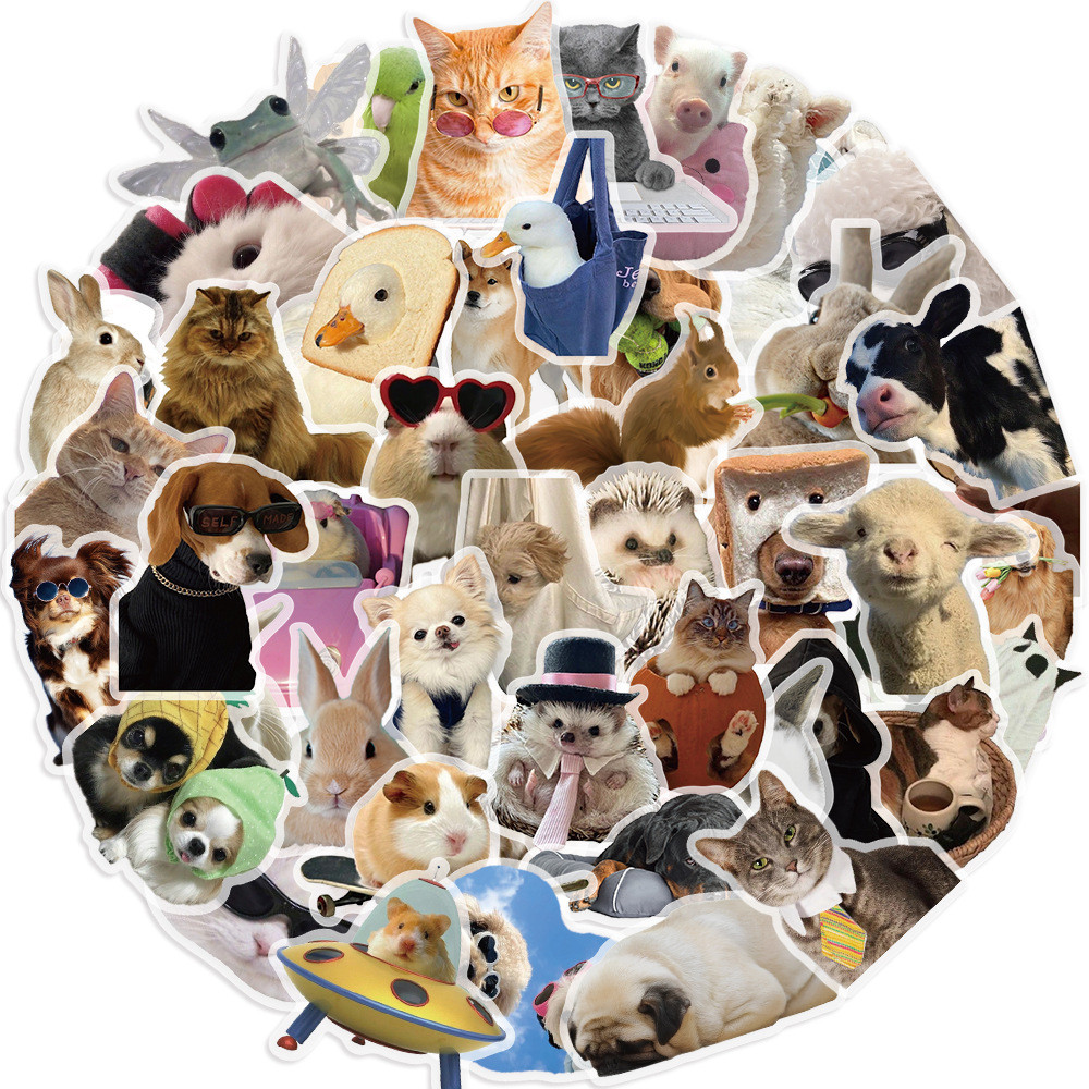 50PCS Dibujo Animado Cute Cats and Dogs Meme Stickers De Graffiti A ...